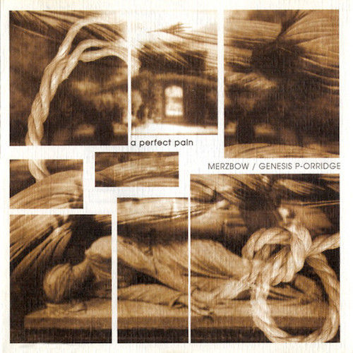 MERZBOW / GENESIS P-ORRIDGE A Perfect Pain LP