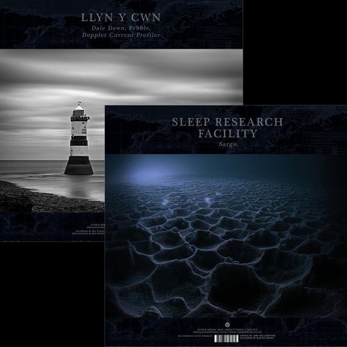SLEEP RESEARCH FACILITY/LYNN Y CWN Sargo / Posidonia LP